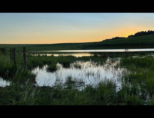 FARM FOR SALE IN MOUNT VERDE